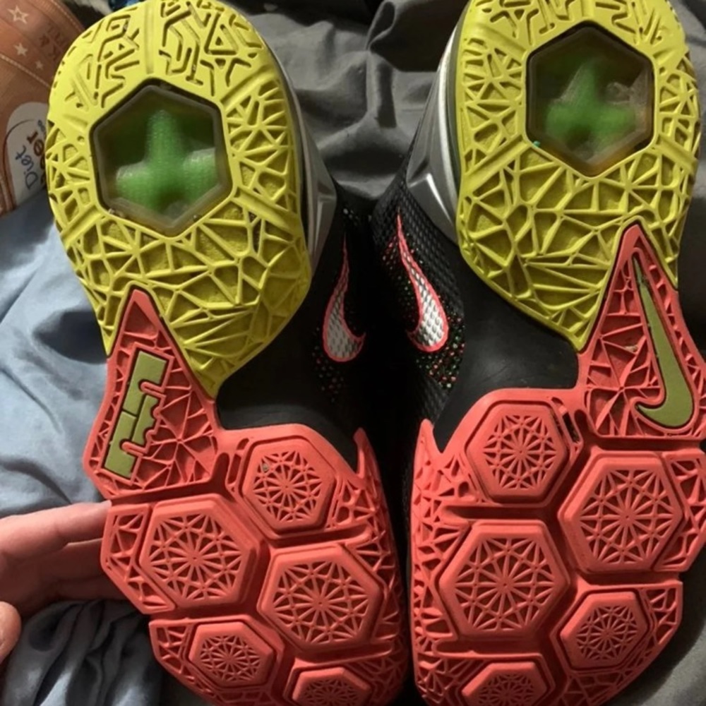 Lebron - Picture 4 of 6